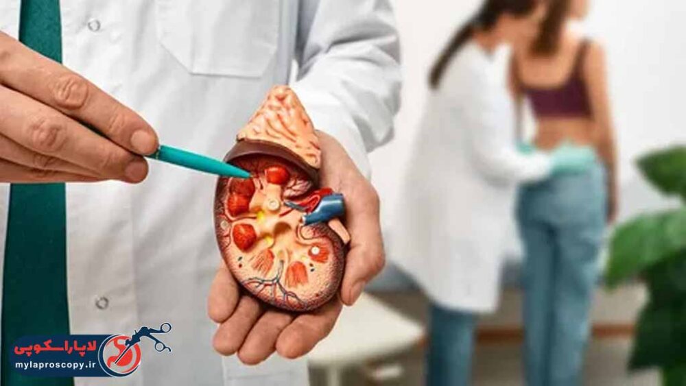بهترین دکتر فوق تخصص اورولوژی در شیراز