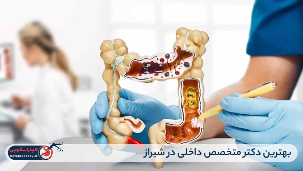 بهترین دکتر متخصص داخلی در شیراز