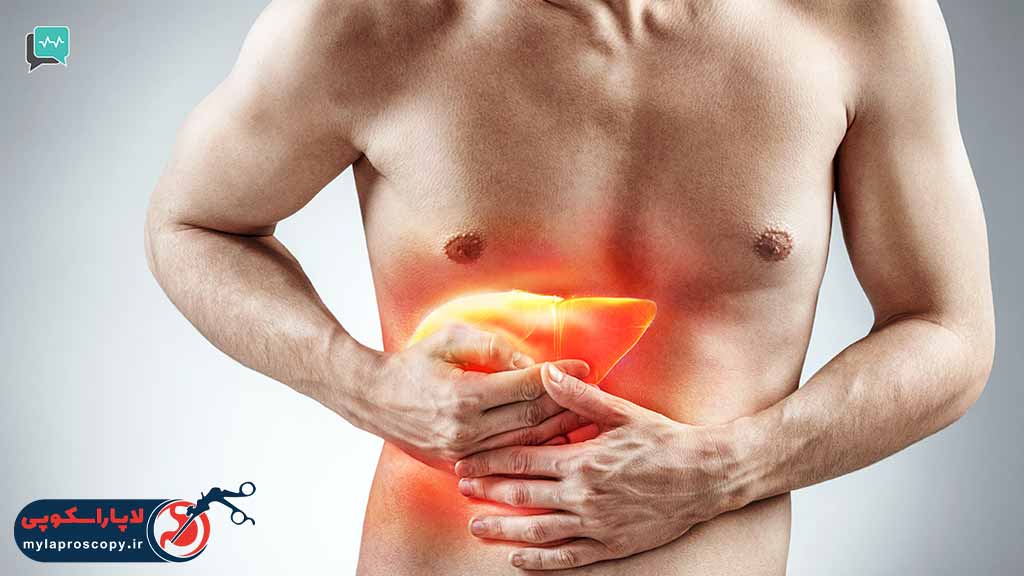 وظیفه کبد در بدن چیست؟