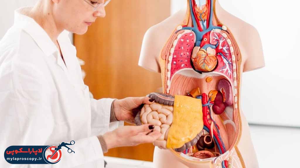 کار متخصص داخلی چیست؟